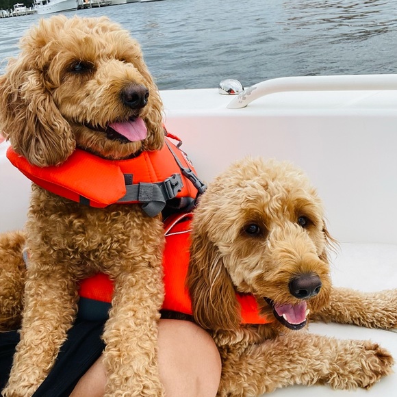 Meet your Posher, Kendyl - Picture 1 of 1